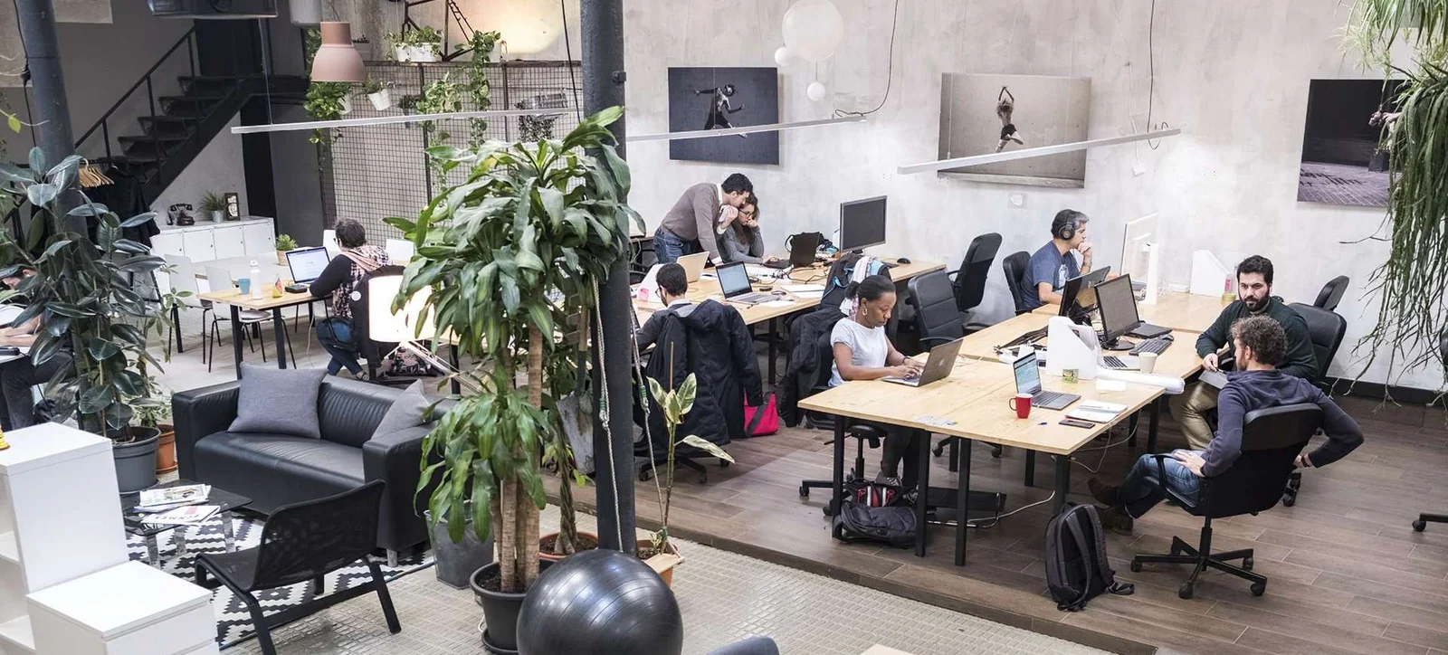 La Vaca Coworking - Image 3