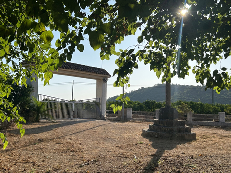Masía Creu del Coll - Image 2