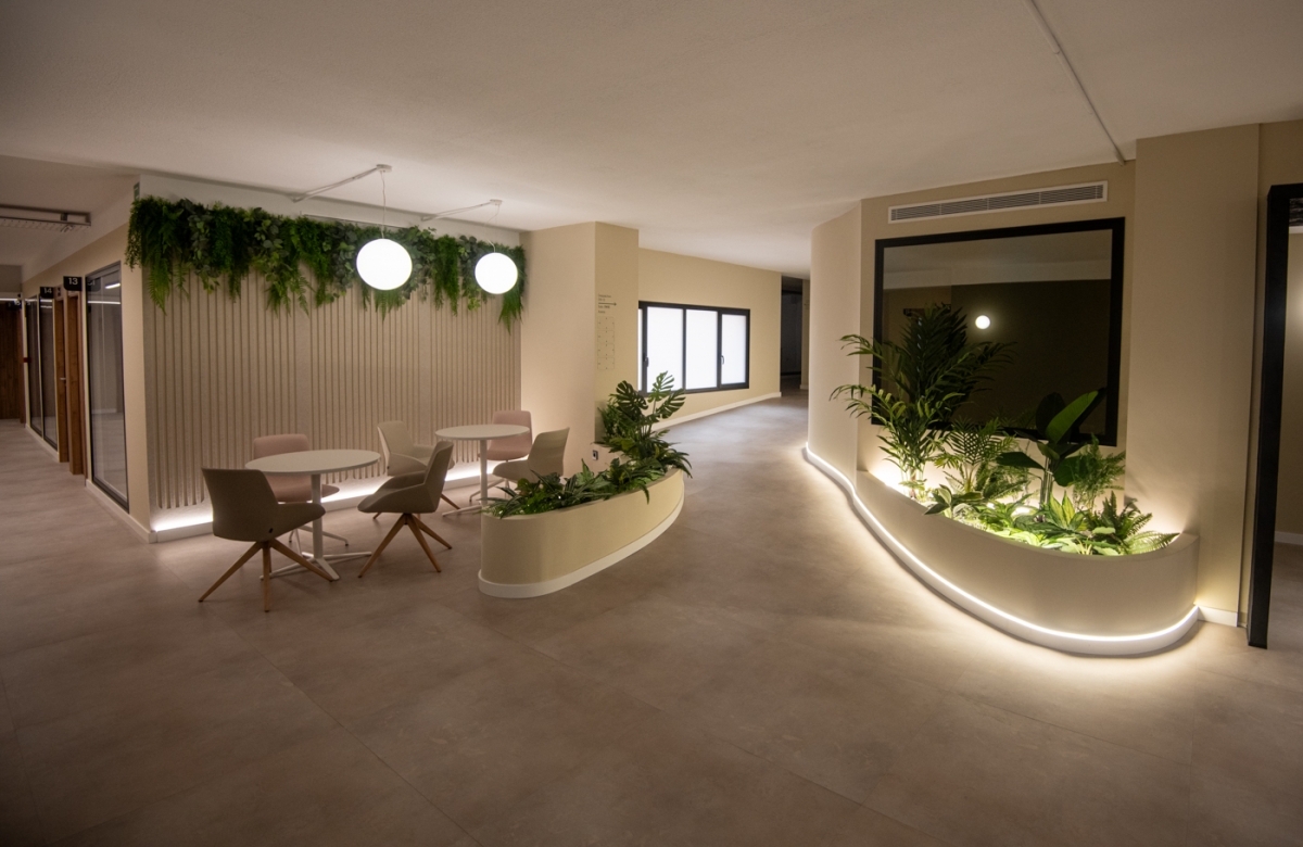 WAO Coworking Alicante - Image 3