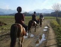 L'activité équitation chez les Apprentis d'Auteuil