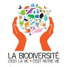 Découvrir la biodiversité et le recyclage