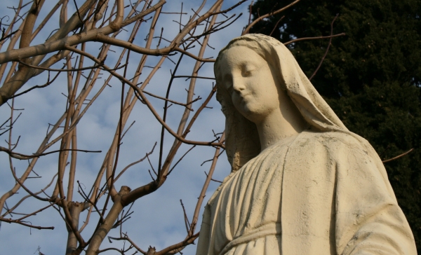 Cinq statues de la Sainte Vierge vandalisées à Pau