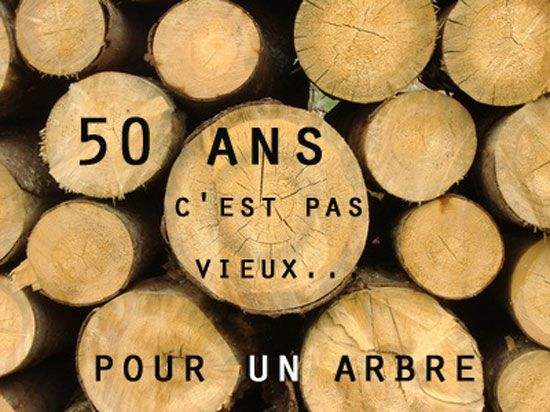 50 bougies pour l'abbé Jean Casanave