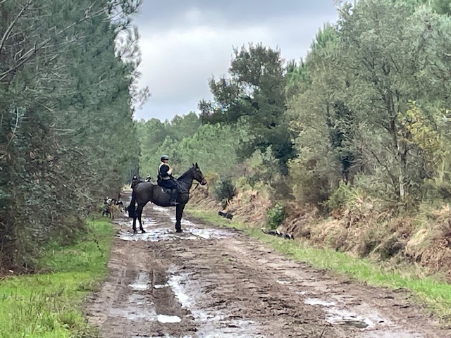 Veneurs sur la piste....jpg