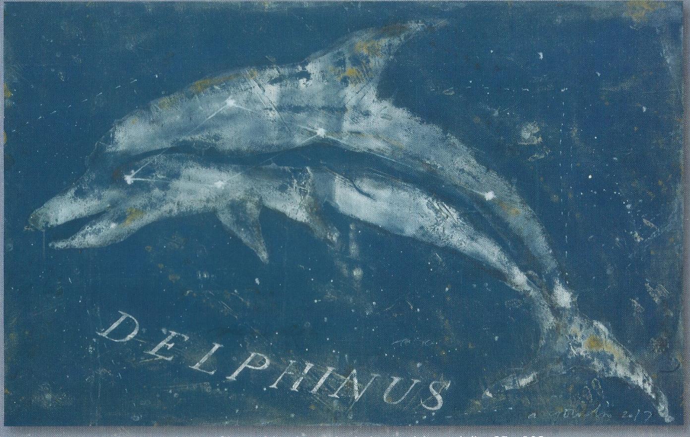Delphinus par Alexis Gorodine