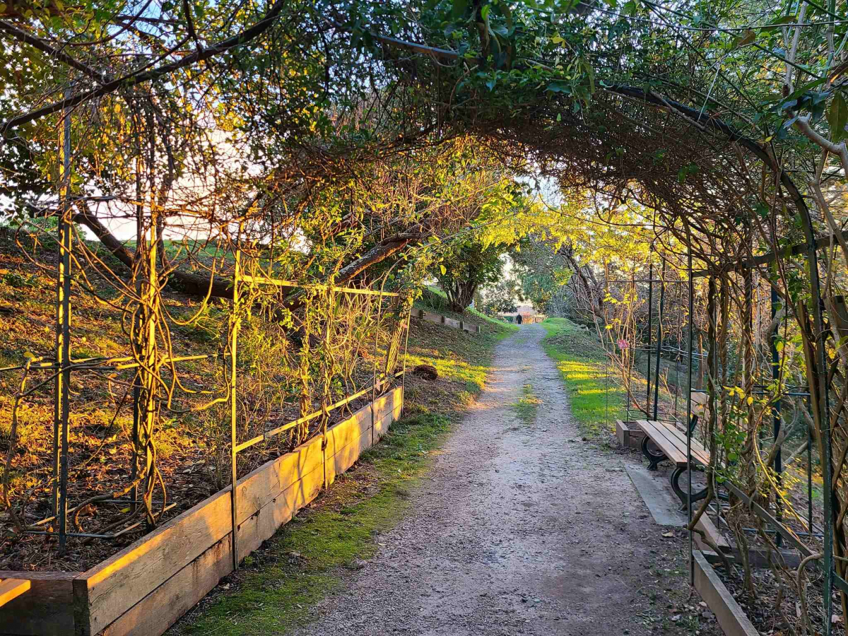 Saint-Jean-de-Luz : le Jardin botanique littoral s'anime en mars