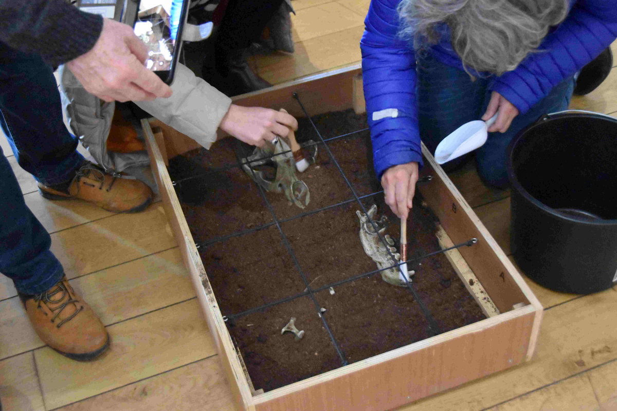 Hendaye : Archéologie, les fouilleurs du temps - Arkeologia, denboraren induskatzaileak à Asporotsttipi