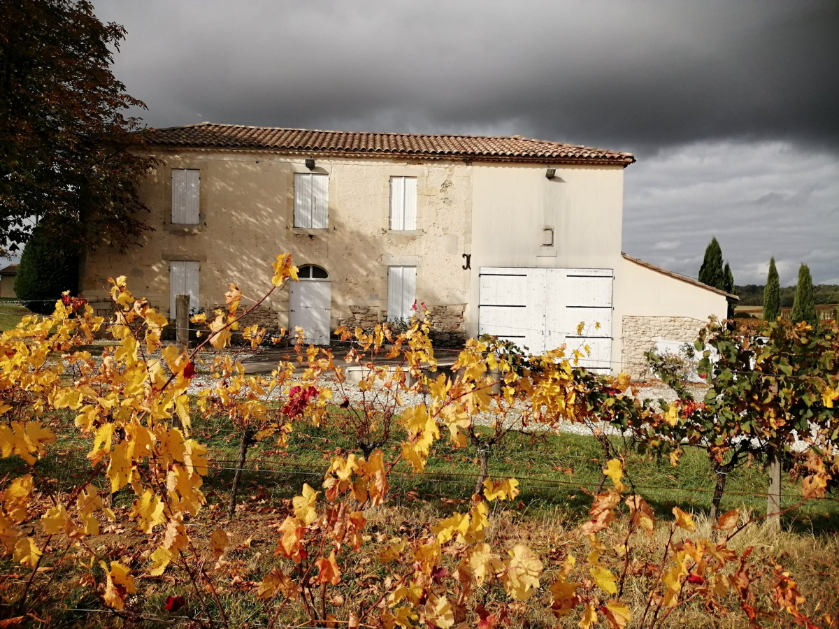 La qualité d'un vin de Bordeaux : le château Miller La Cerda, audit de la propriété