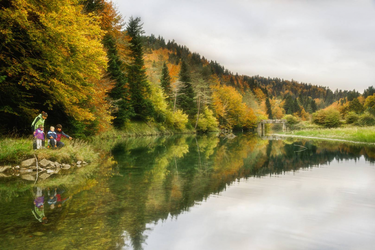 Forêt d'Iraty en Soule & Navarre.jpg