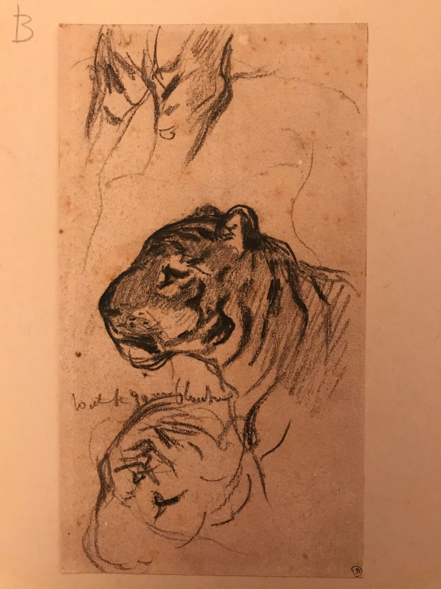 Henri Regnault (1843-1871), Etude de tigre, crayon sur papier, 18,3x10cm,.jpg
