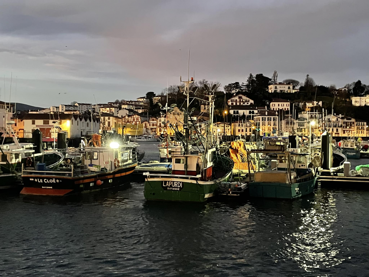 L'écologie "punitive" : plus de 1 000 marins à quai pendant un mois et poissons hors de prix