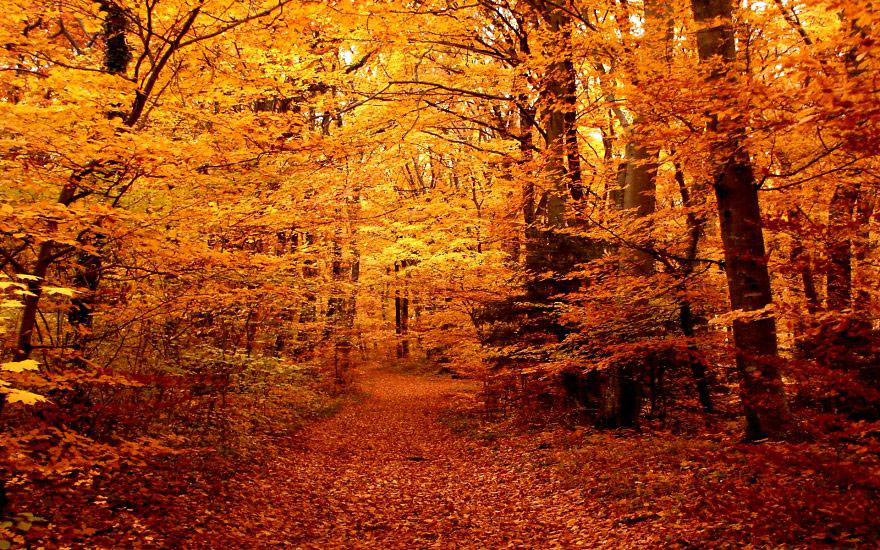 La couleur rouge de septembre