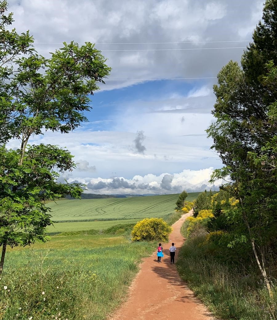 Le "Camino" vers Compostelle : des havres où l’humanité est reine