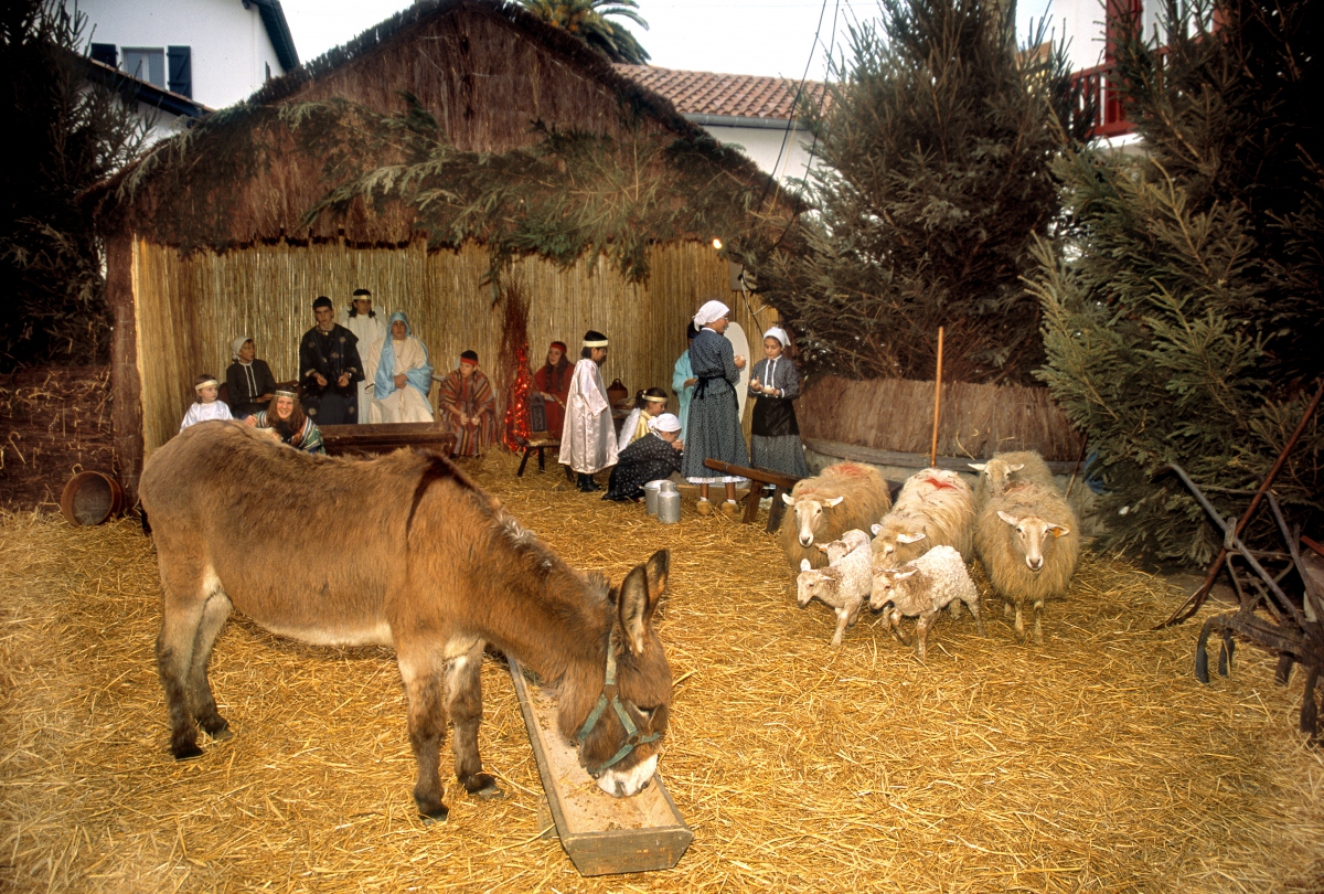 La Nativité et les crèches