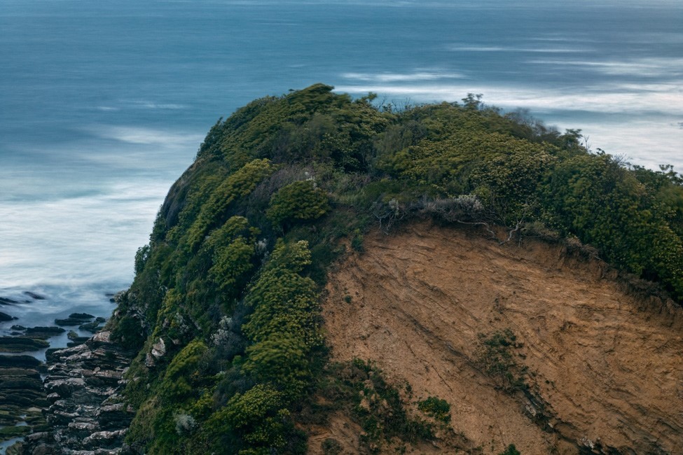 les plantes pionnières de la pointe Sainte-Barbe © Hélène David.jpg