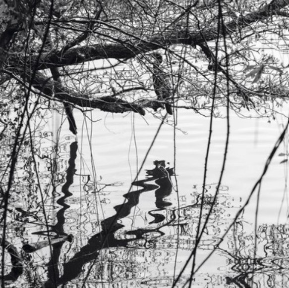 Bayonne : de bois et d'eau, avec le photographe Marc van Loey