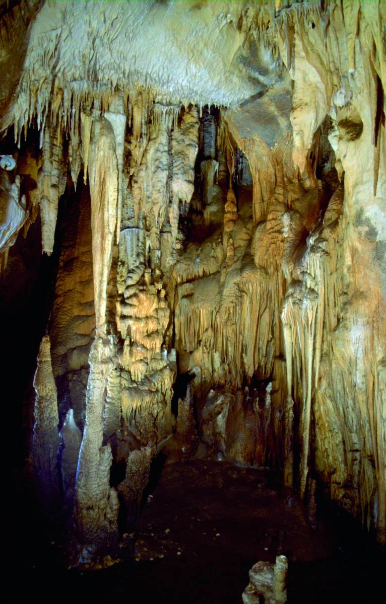 L'univers fabuleux des grottes d'Isturitz.jpg