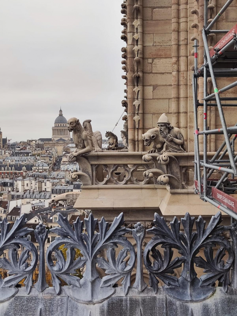 ... depuis Notre-Dame, la vue est belle !.jpeg