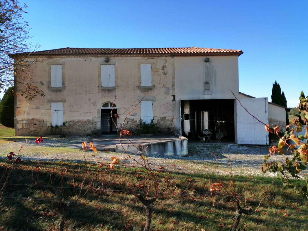 Le Chai du château Miller La Cerda à l'automne, après les vendanges .jpg