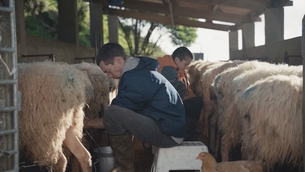 Irissarry : le documentaire "Artzain Soil" projeté à Ospitalea ce vendredi 7 mars