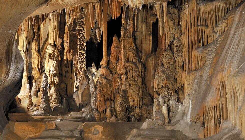 D'Isturitz à Saint-Palais : grottes d'Oxocelhaya, 20 ans de recherches, une aventure partagée