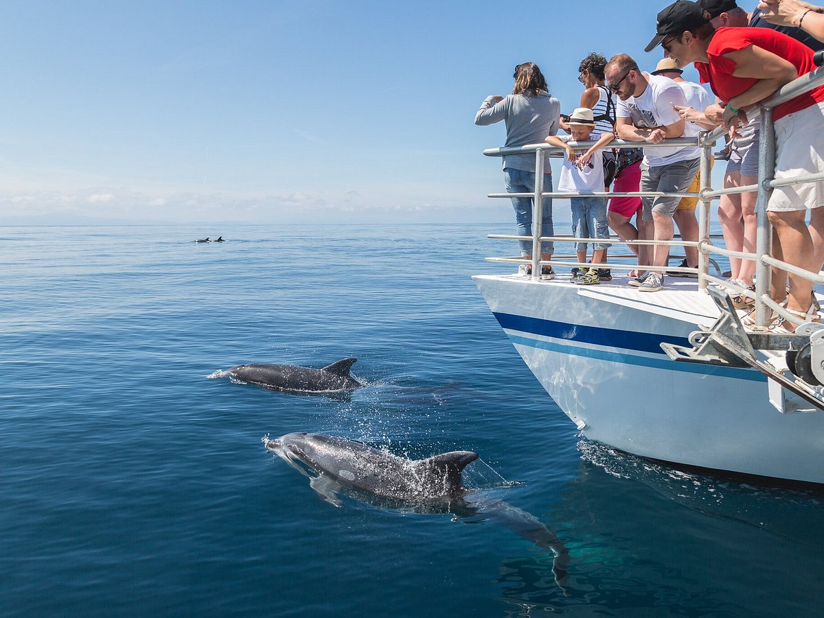 Hendaye : "Explore Océan", lauréat des Trophées du Tourisme 64