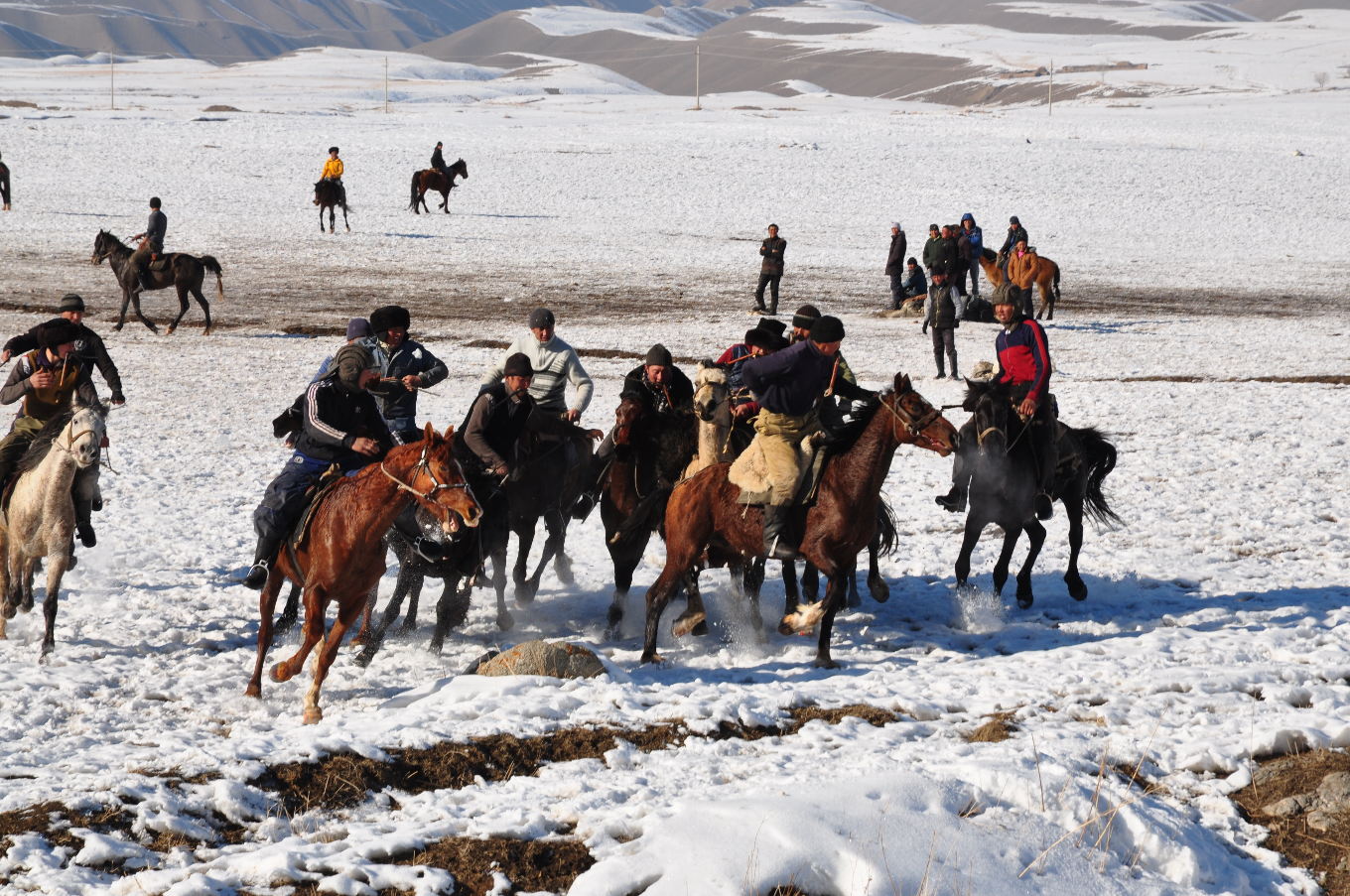 Chasse aux loups en Kirghizie – février 2016 (I)