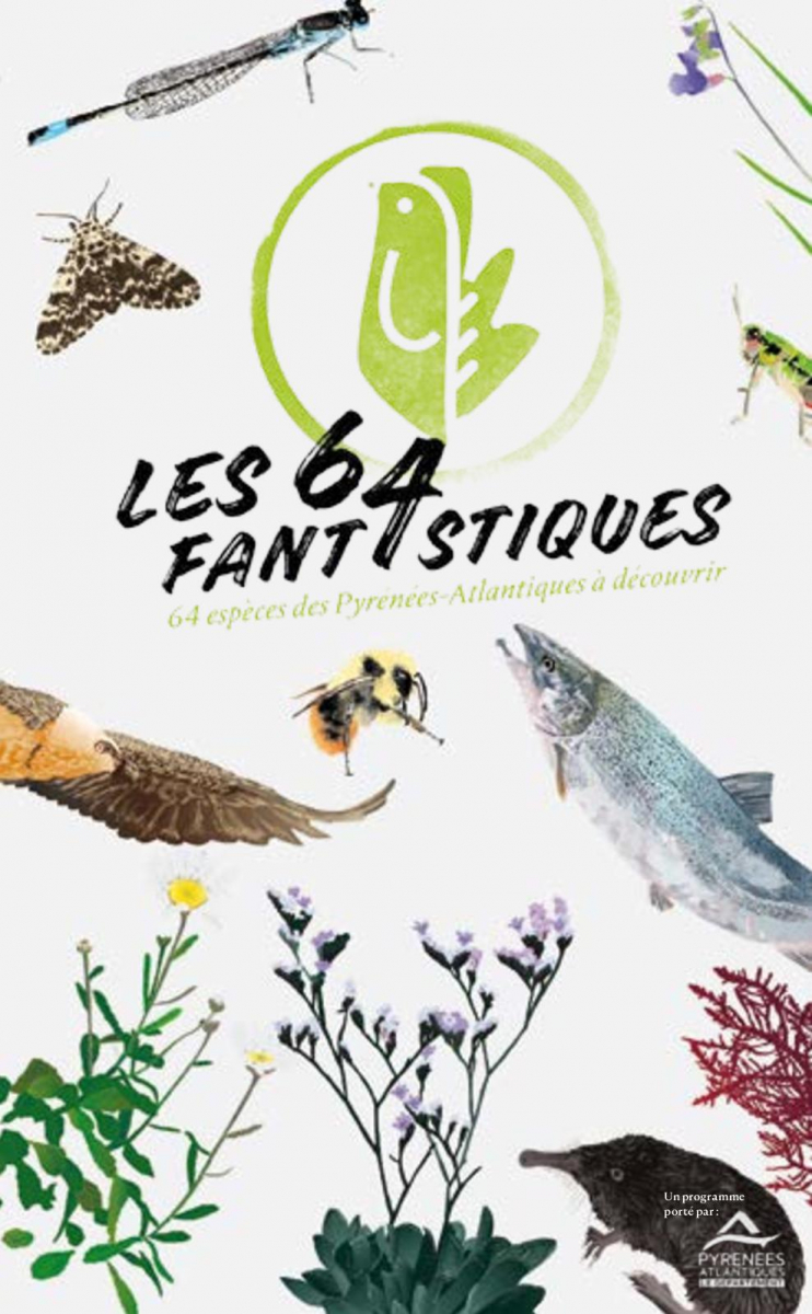 "Les 64 fantastiques" à Bayonne, Louisa Burnett-Hall à St-Jean-de-Luz et Véronique Durruty à Hendaye