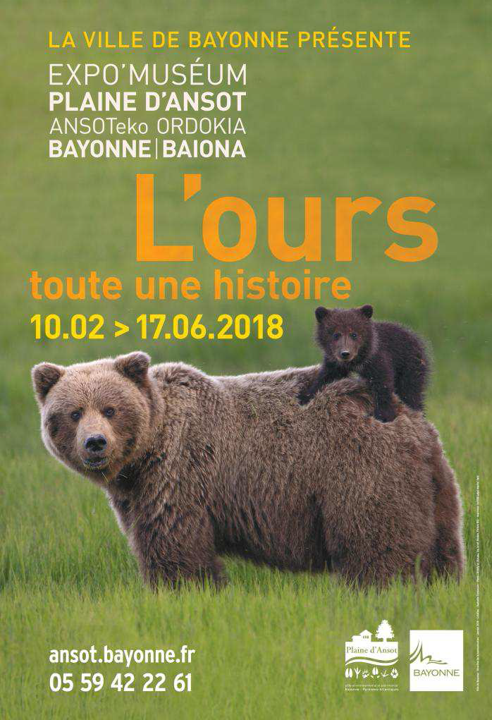 L’Ours des Pyrénées, menacé de disparition