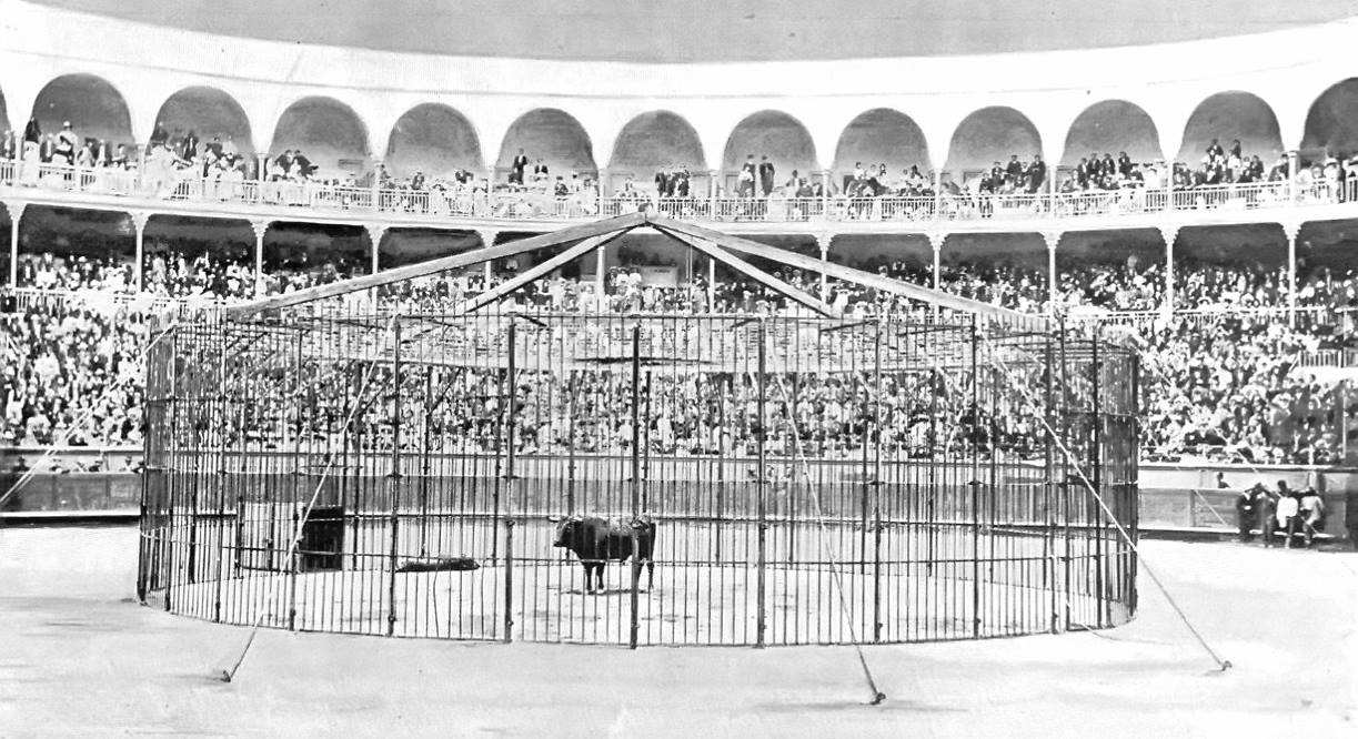 Une « corrida » particulière à Donosti en 1904 : taureau contre tigre !