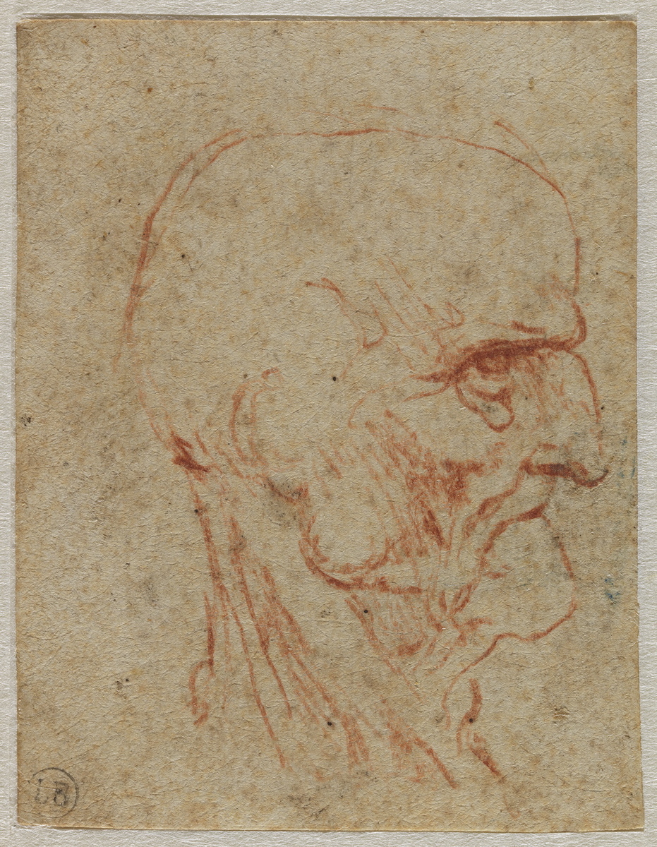 Pour la nouvelle année 2020, 4 dessins de la collection Vinci  se dévoilent au musée Bonnat-Helleu !