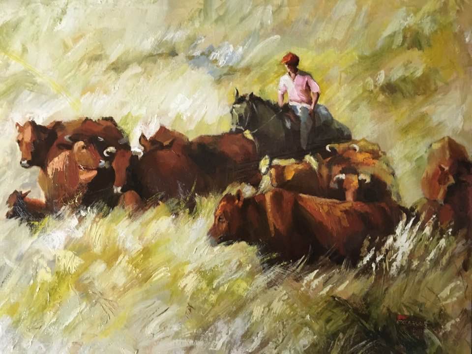 Pampa ganado ou le bétail dans la pampa.jpg