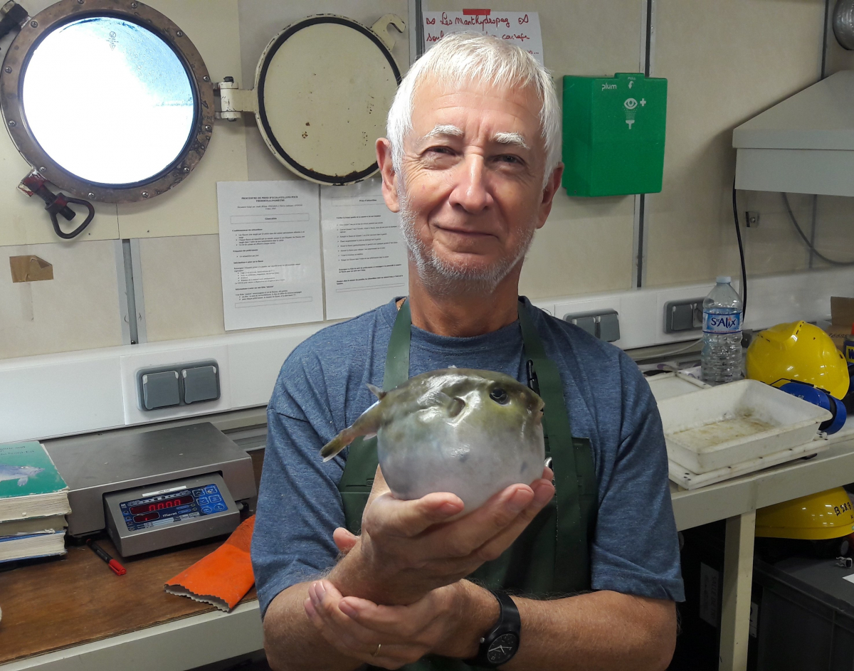 Évaluer et étudier les populations de poissons du golfe de Gascogne à bord du « Thalassa »