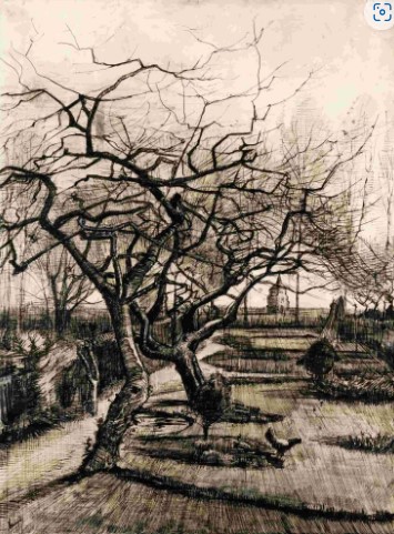 Le jardin du Presbytère à Nueven 1884 - Vincent Van Gogh.jpg