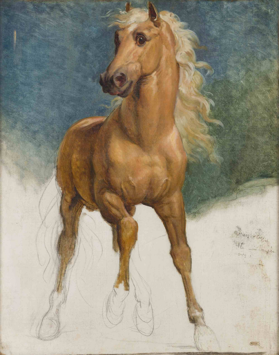 Nouvelle acquisition du château de Pau  : le cheval d'Henri IV par François Gérard