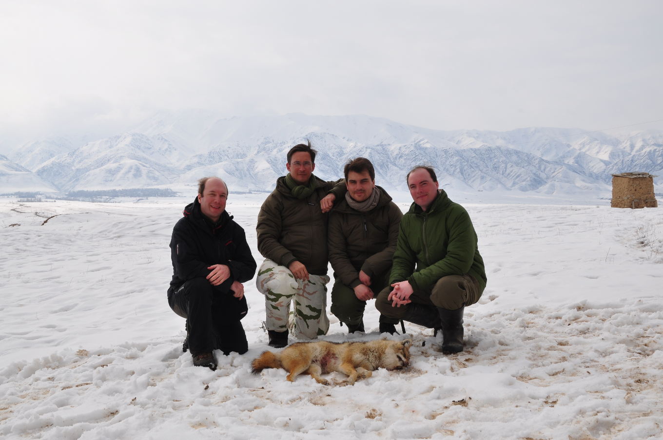 Chasse aux loups en Kirghizie – février 2016 (III)