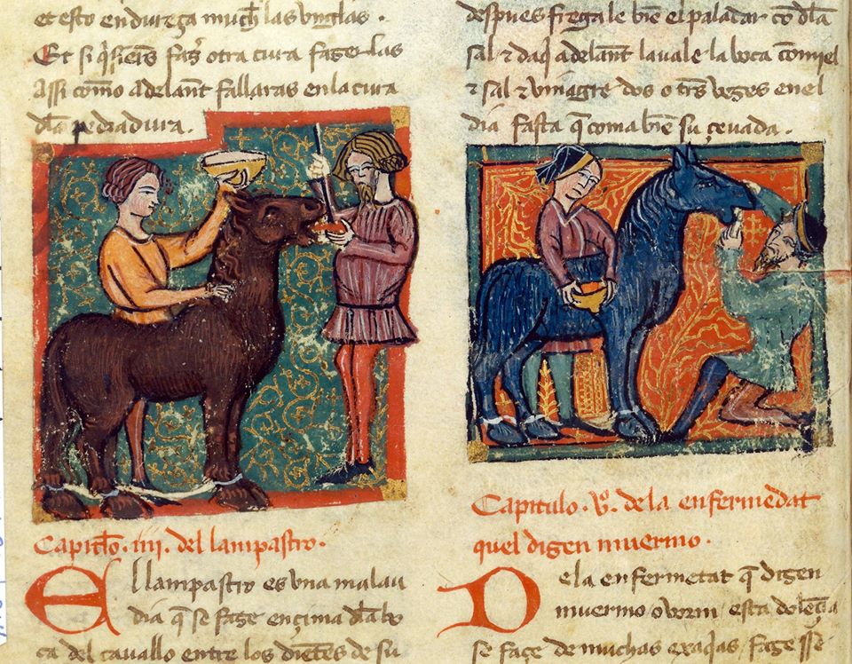 Les chevaux de guerre vascons et gascons