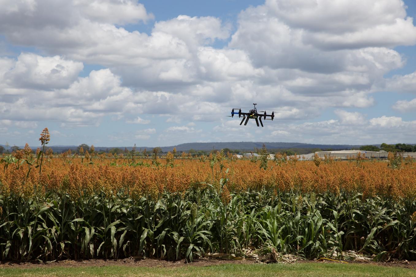 La Tunisie étudie l'apport des drones pour l'agriculture