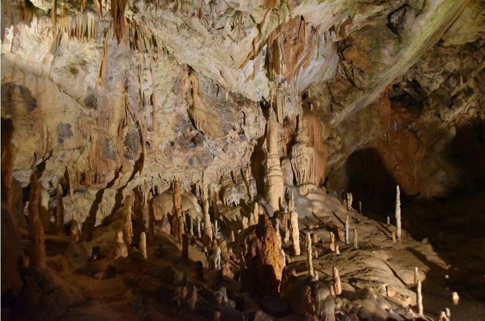 Croatie_2022_9_grottes de  Psotojna (Slovénie)..jpg