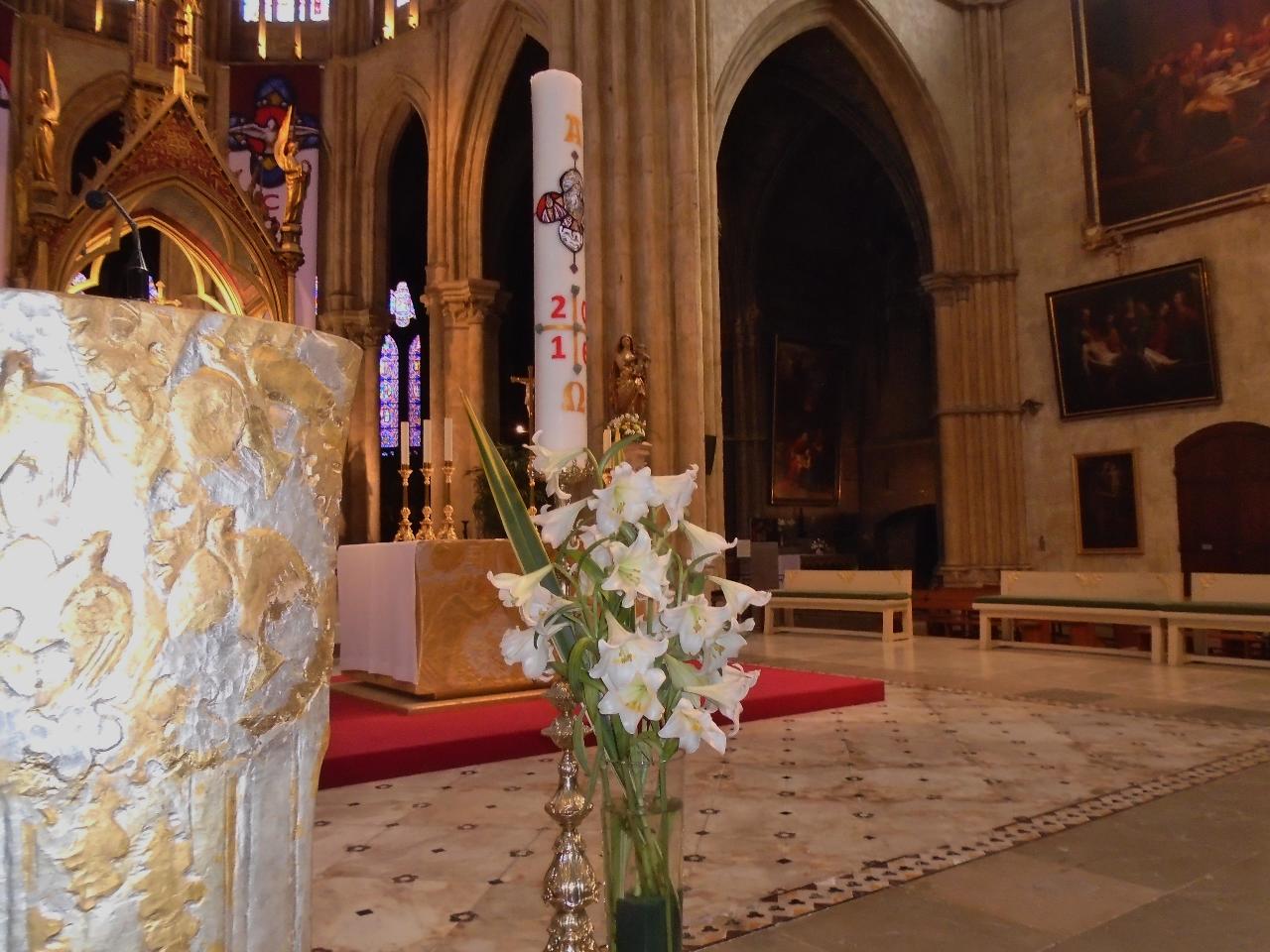 Les colonnes sont dites en "asperges" tant par leur forme que par la couleur de la pierre de Mousseroles dont est entièrement construite la cathédrale