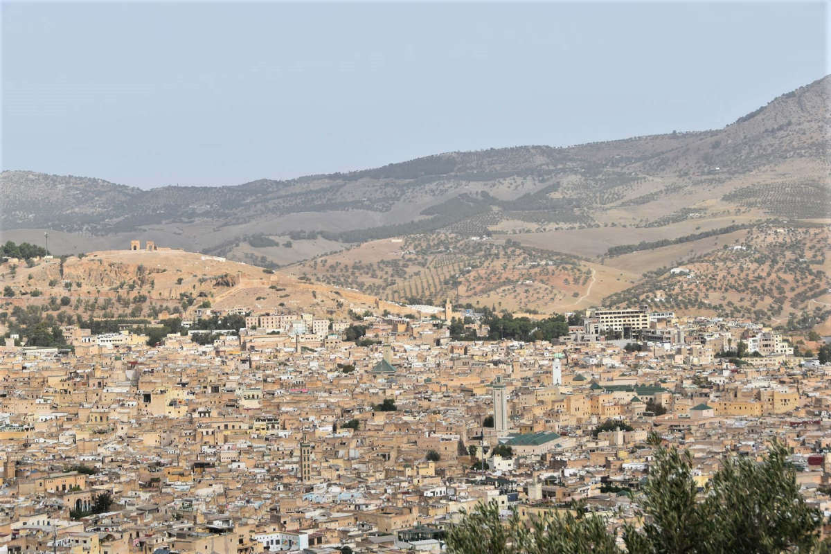 2Maroc_2022 Fès, vue sur la vieille ville.jpg