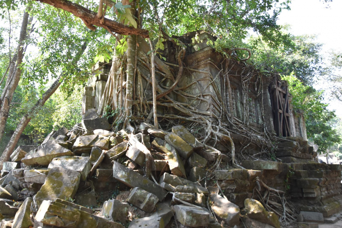 Cambodge_2023_3_région d'Angkor _la végétation a repris ses droits.jpg