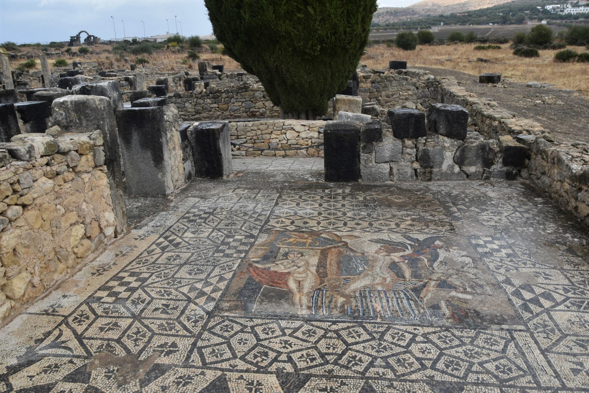 2Maroc_2022 les villas romaines de Volubilis étaient pourvues de belles mosaiques.jpg