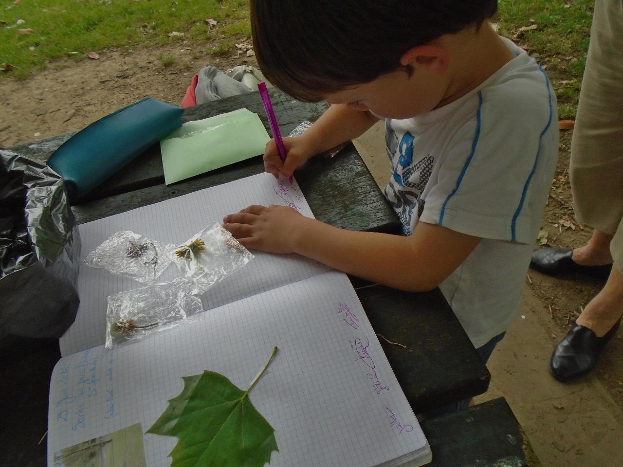 Temps de jeux "en tous sens" et préparation de l'herbier. Martin, 4 ans, signe soigneusement sa présence.