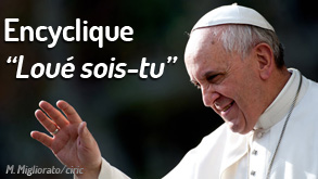 Avec « Loué sois-tu », le Pape invite à la conversion écologique