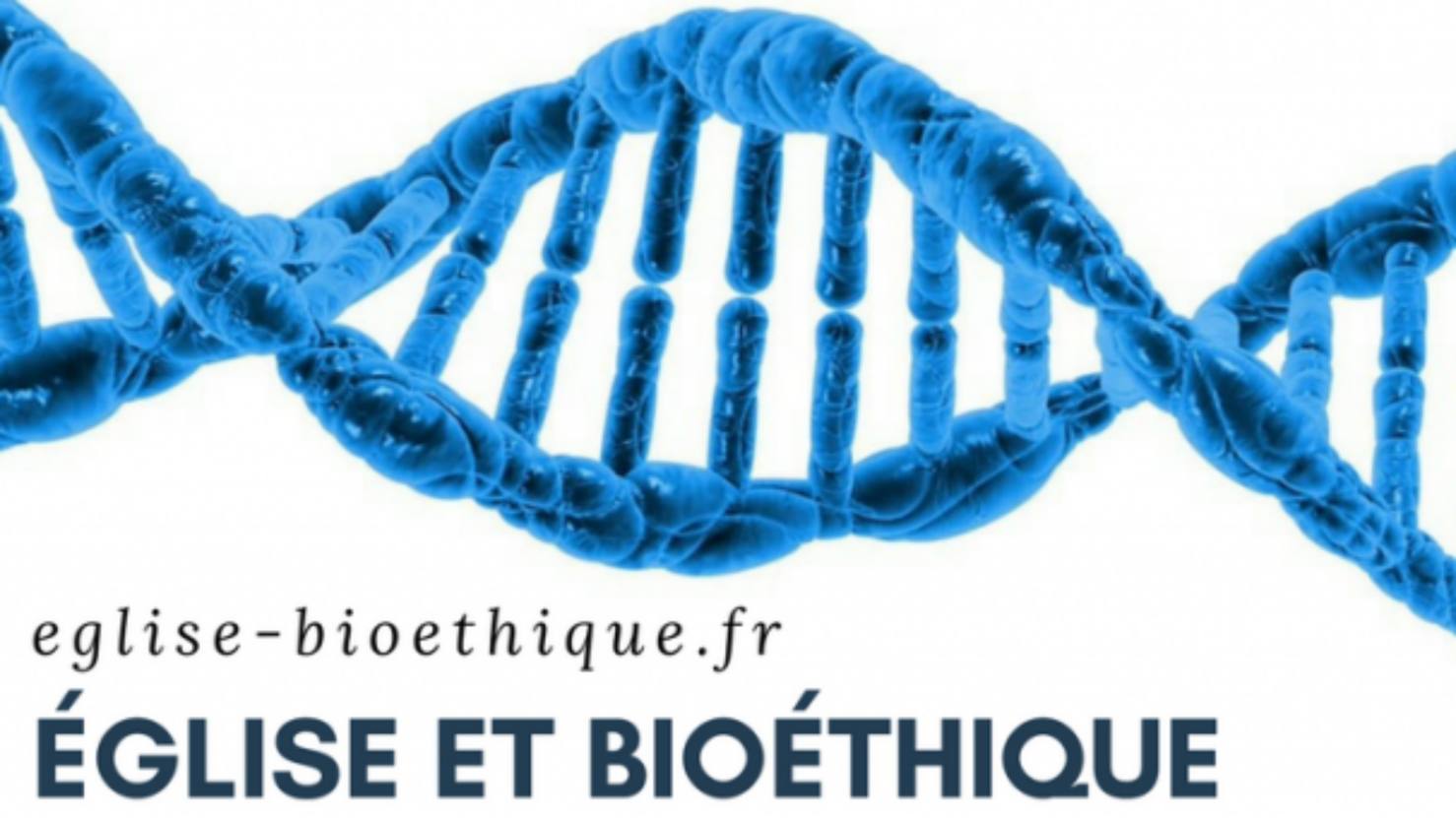 Bioéthique : les positions de la Conférence des évêques de France