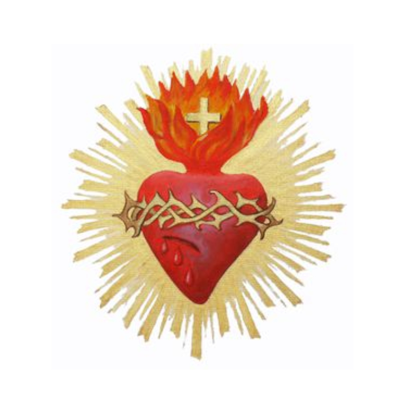 Homélie de la solennité du Sacré Cœur de Jésus par le Père Renaud BERTRAND