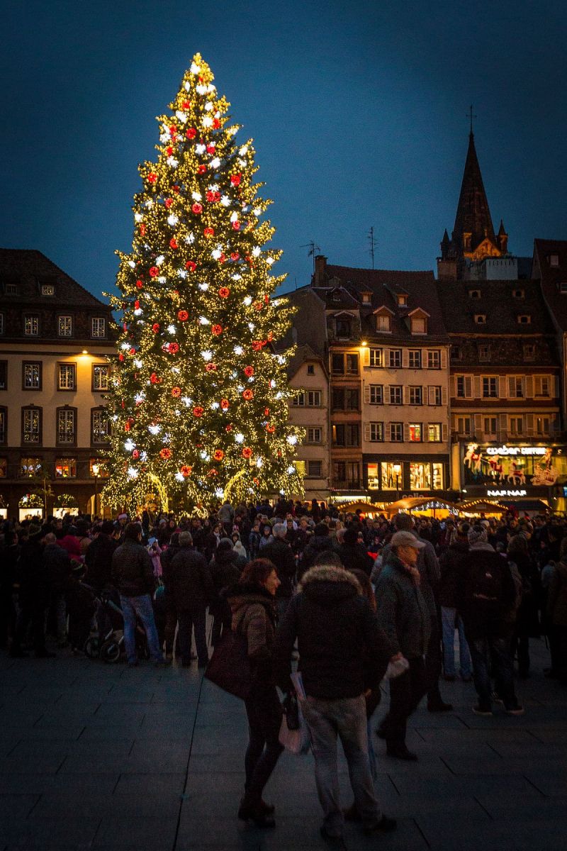 Strasbourg_capitale_de_Noël_grand_sapin_2014_02-min (1) (1).jpg