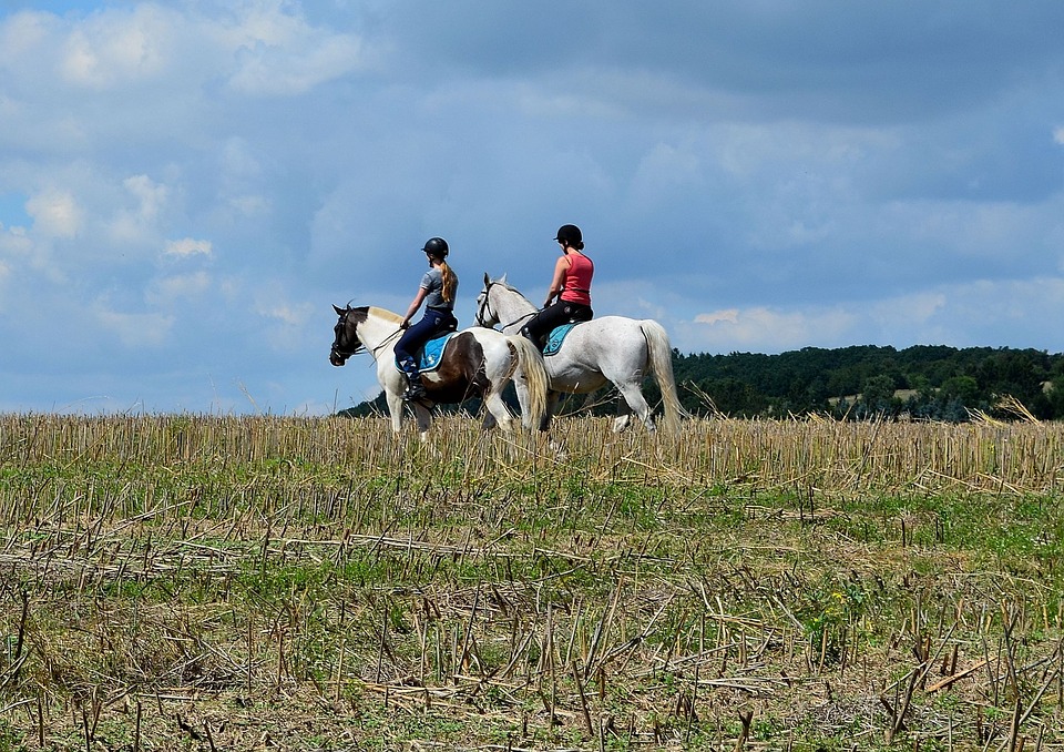 רכיבה על סוסים – יתרונות שחשוב להכיר