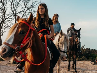 רכיבה על סוסים בנתניה – יצאנו לבדוק את חוות הפקאן